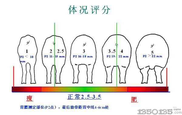 ׌ϵNil(f)鲢(zhn)_Д